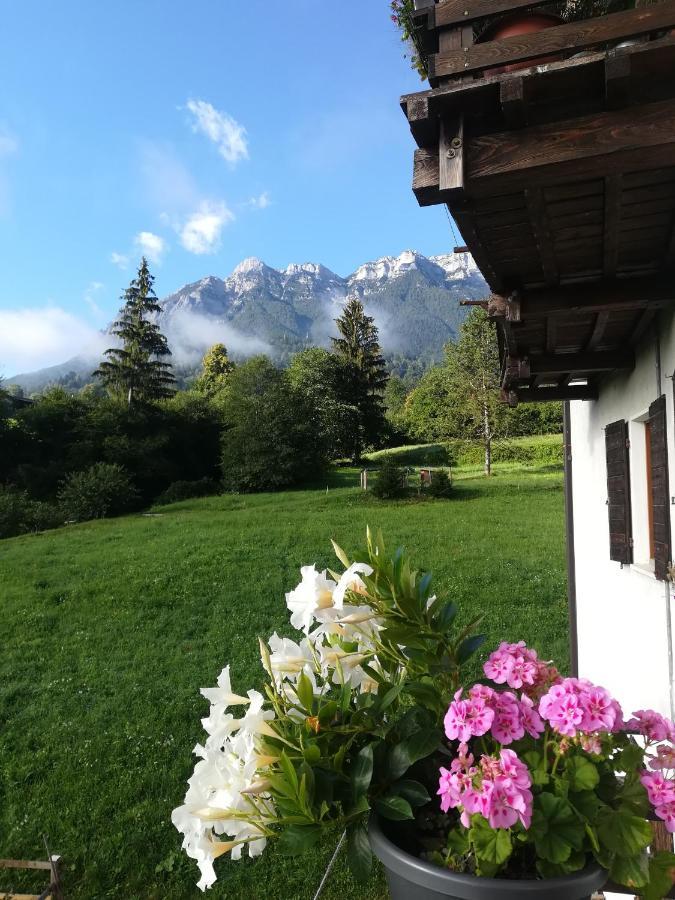 B&B Il Crogiolo Bosentino Extérieur photo